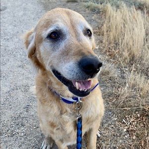 Meet your Posher, Kami